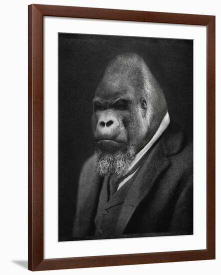 Mario Gorillini-Grand Ole Bestiary-Framed Art Print