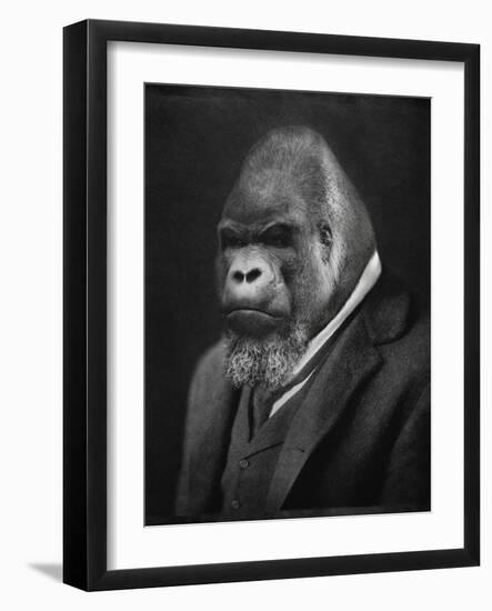 Mario Gorillini-Grand Ole Bestiary-Framed Art Print