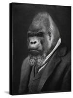 Mario Gorillini-Grand Ole Bestiary-Stretched Canvas