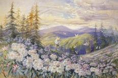 Rhododendrons and Butterflies-Marion Ellis Rowan-Stretched Canvas