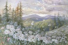 Rhododendrons and Butterflies-Marion Ellis Rowan-Stretched Canvas