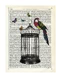 Bird Cage and Parrot-Marion Mcconaghie-Art Print