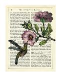 Hummingbird & Flower-Marion Mcconaghie-Art Print