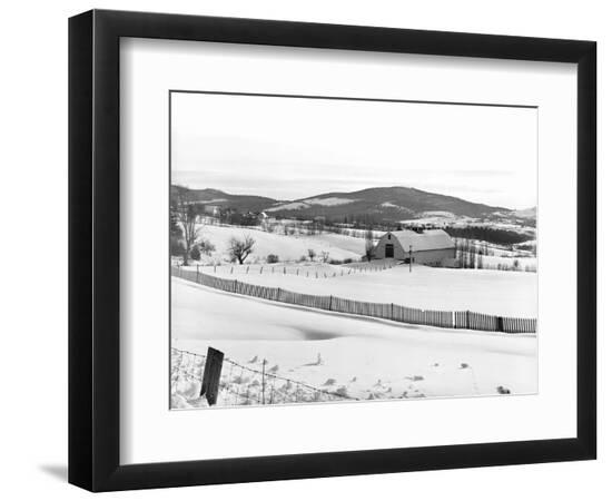 Premium Photographic Print, , large