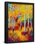 Essential Black