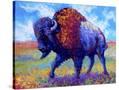 Stretched Canvas