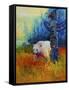Canvas Black