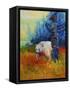 Canvas Black