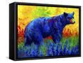 Framed Canvas