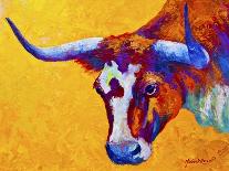 White Face Cow-Marion Rose-Giclee Print