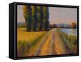 Framed Canvas