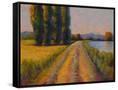 Canvas Black