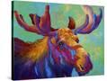 Stretched Canvas