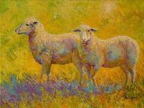 Warm Glow Sheep Pair-Marion Rose-Giclee Print