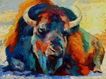 Winter Bison-Marion Rose-Giclee Print