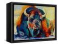 Canvas Black