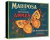 Mariposa Fancy Northwestern Apples-null-Stretched Canvas