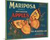 Mariposa Fancy Northwestern Apples-null-Mounted Art Print