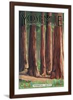 Mariposa Grove - Yosemite National Park, California-Lantern Press-Framed Art Print