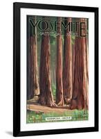 Mariposa Grove - Yosemite National Park, California-Lantern Press-Framed Art Print