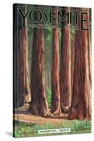 Mariposa Grove - Yosemite National Park, California-Lantern Press-Stretched Canvas