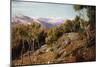 Maritime Alps and Valley of the Paglioni, Near Nice, France-John Mulcaster Carrick-Mounted Giclee Print