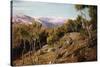 Maritime Alps and Valley of the Paglioni, Near Nice, France-John Mulcaster Carrick-Stretched Canvas