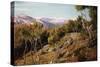 Maritime Alps and Valley of the Paglioni, Near Nice, France-John Mulcaster Carrick-Stretched Canvas