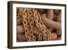 Maritime Chain II-Kathy Mahan-Framed Photographic Print