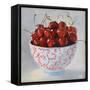 Maritime Cherries-Jenny Westenhofer-Framed Stretched Canvas