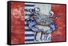 Maritime Crab-Paul Brent-Framed Stretched Canvas