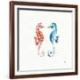 Maritime IX-Daphne Brissonnet-Framed Art Print