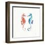 Maritime IX-Daphne Brissonnet-Framed Art Print