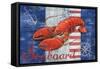 Maritime Lobster-Paul Brent-Framed Stretched Canvas