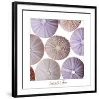 Maritime Still Life, Urchin Shell-Uwe Merkel-Framed Photographic Print