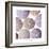 Maritime Still Life, Urchin Shell-Uwe Merkel-Framed Photographic Print