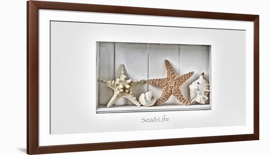 Maritime Still Life-Uwe Merkel-Framed Photographic Print