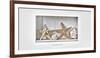 Maritime Still Life-Uwe Merkel-Framed Photographic Print