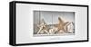 Maritime Still Life-Uwe Merkel-Framed Stretched Canvas