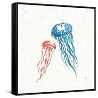 Maritime VI-Daphne Brissonnet-Framed Stretched Canvas