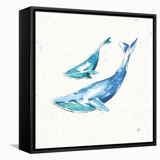 Maritime VIII-Daphne Brissonnet-Framed Stretched Canvas