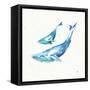 Maritime VIII-Daphne Brissonnet-Framed Stretched Canvas