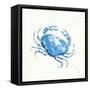 Maritime X-Daphne Brissonnet-Framed Stretched Canvas