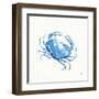 Maritime X-Daphne Brissonnet-Framed Art Print