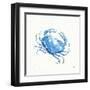 Maritime X-Daphne Brissonnet-Framed Art Print