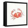 Maritime XI-Daphne Brissonnet-Framed Stretched Canvas