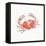 Maritime XI-Daphne Brissonnet-Framed Stretched Canvas