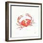 Maritime XI-Daphne Brissonnet-Framed Art Print