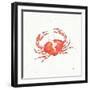 Maritime XI-Daphne Brissonnet-Framed Art Print