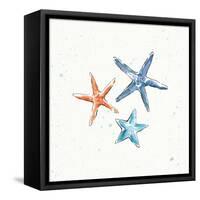 Maritime XII-Daphne Brissonnet-Framed Stretched Canvas